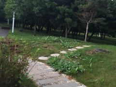 -吉林大学(前卫南区)