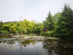 -白马涧龙池景区