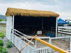 -上海山野camping·户外天幕烧烤·团建拓展营地