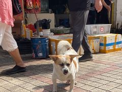 -西双版纳集贸市场