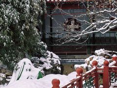 -月坛公园