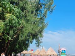 -北海金海湾红树林生态旅游区