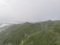 -四明山国家森林公园
