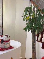 点击看大图 -茜尔维亚修身连锁(闵行莘庄店)