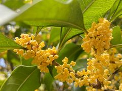 -杭州城北体育公园