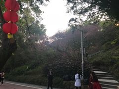 景点-金鸡山公园