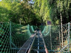 -藏龙百瀑风景区