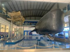 -上海海洋大学鱼文化博物馆(军工路校区)