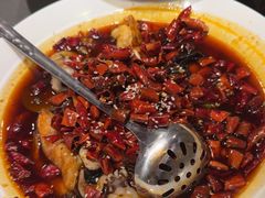 -北平盛世·新京菜·北京烤鸭(劲松·双井店)