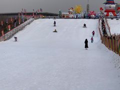 -沈阳奥体冰雪嘉年华