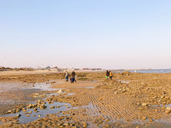 -刘家湾赶海园