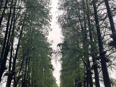 -东湖落雁景区