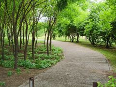 -龙达温泉生态城