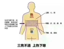 -香薇妮丝女子减肥院