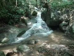 -七仙岭温泉国家森林公园