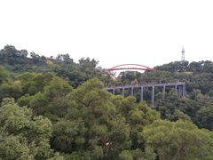 -金鸡山公园