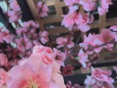 -呷哺呷哺 黄金牧场 (大港油田幸福广场店)