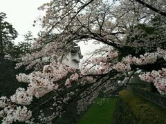 -名古屋城