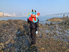-黑石礁公园
