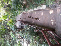android_upload_pic-伊岭岩风景区
