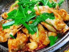 -石岐乳鸽村(南海第三分店)