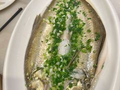 -金鼎轩(方庄天坛店)