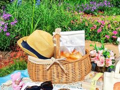 -上海共青森林公园