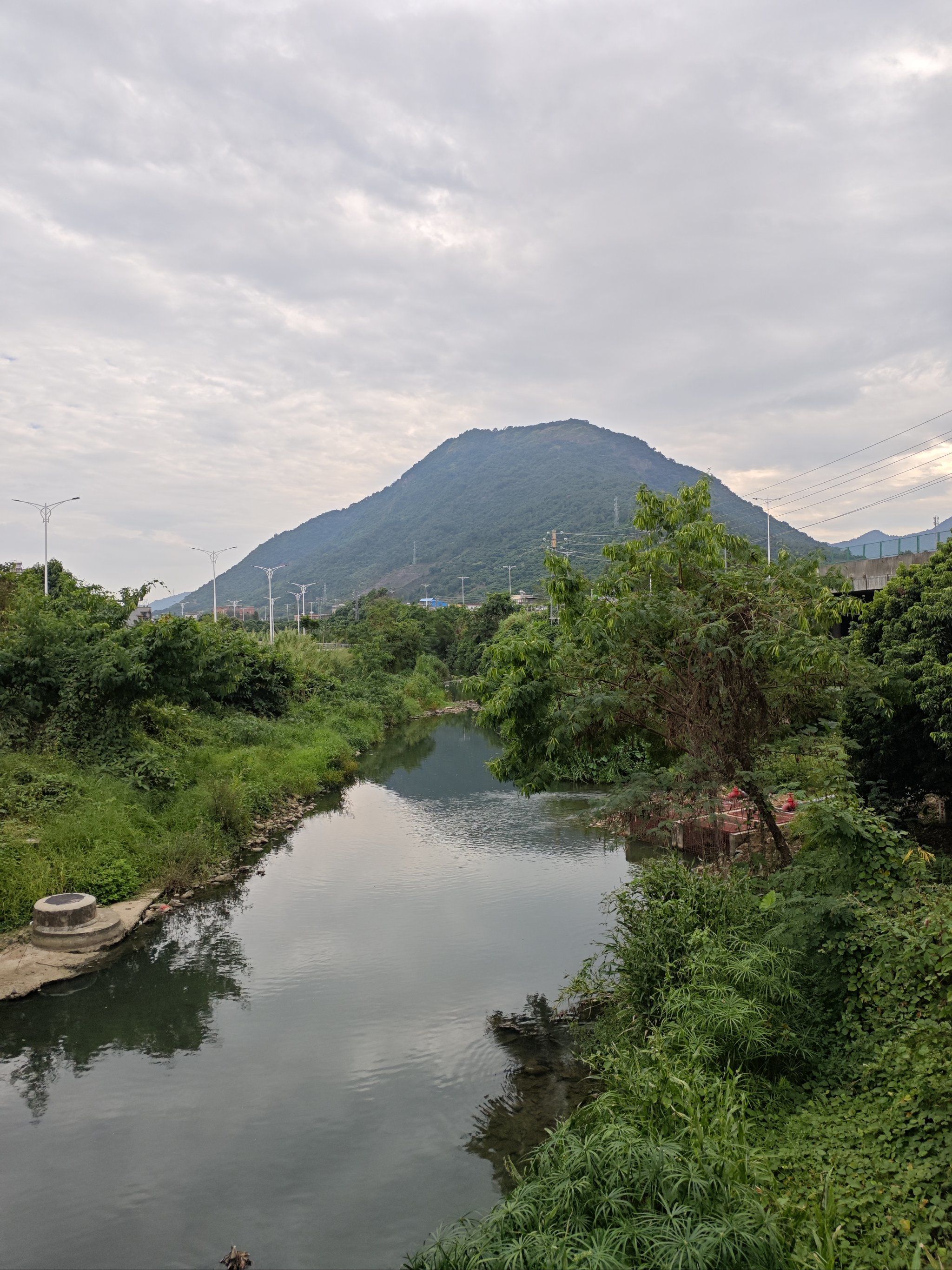 美丽的荔乡