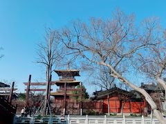 -广富林郊野公园