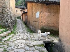 -杨家堂村