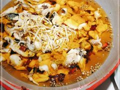 -雲蜀龙阁·金牌水煮鱼(方庄店)