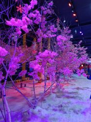 -圣名游乐城冰雪大世界