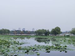 -长春市南湖公园