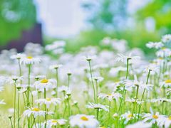 -龙美术馆西岸馆-停车场