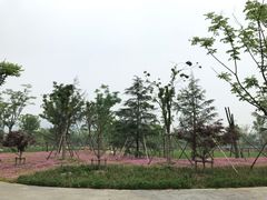 -江南大学(蠡湖校区)
