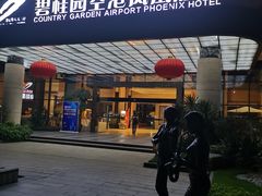 -碧桂园空港凤凰酒店(广州新白云机场店)