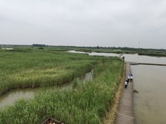 -盐城丹顶鹤湿地生态旅游区