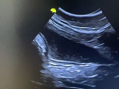 -拜鲁耶动物诊疗中心·宠家动物医院