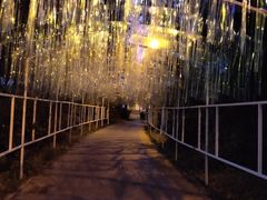 -长春公园(普阳街道)