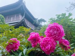 -龙华寺