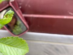 -济南轻骑摩托车有限公司(和平路)