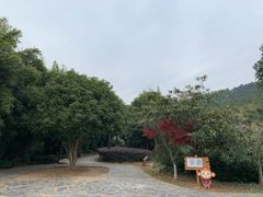 -九龙潭景区