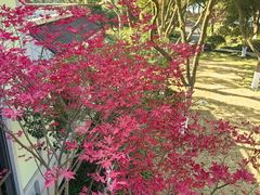 -浙江西子宾馆·瑶园咖啡厅