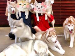 -TrueLove @ Neverland (Husky Cafe)