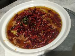 -蝎菜杨·牛肉面 羊蝎子火锅(光熙门北里店)