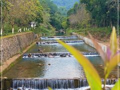 -广州白江湖森林公园