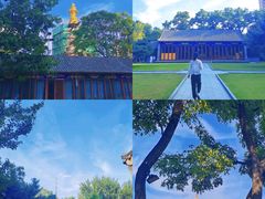 -护国法轮寺