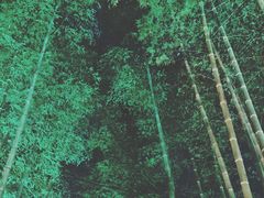 -天目湖御水温泉·度假酒店