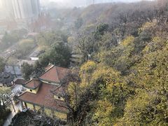 -宝通禅寺