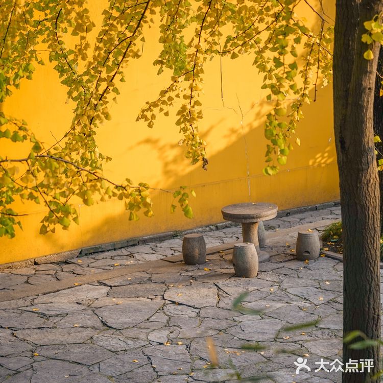 苏州赏秋 🍂本地人推荐(实地打卡分享)